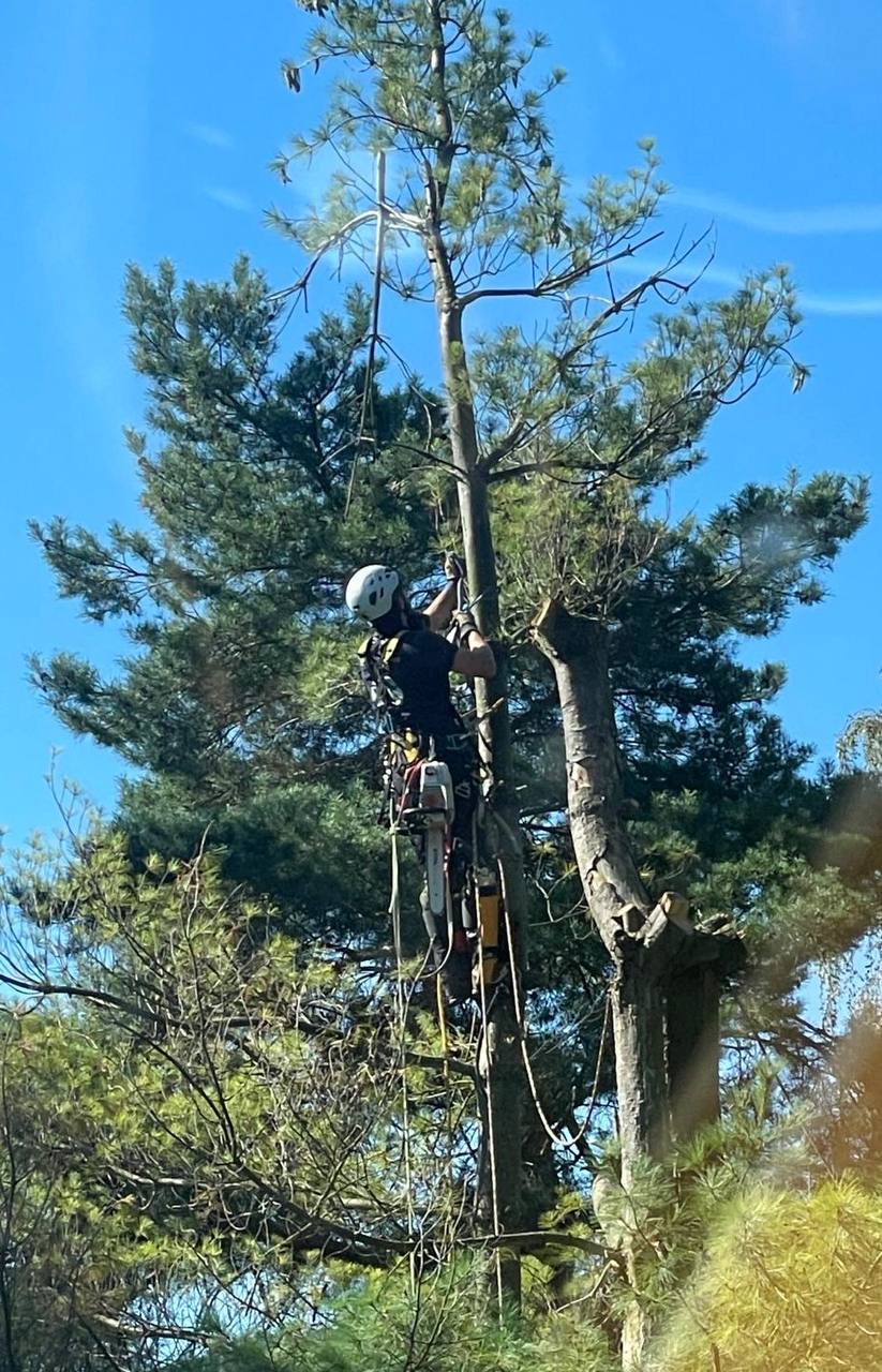 Seilklettertechnik im Einsatz