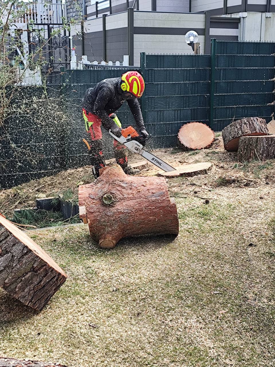 Inhaber der Holzfällerei Lewitz